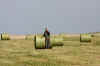 Trappinfo-900-3.jpg (120613 byte)